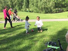 -长白岛森林公园