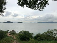 -上海市保健医疗中心