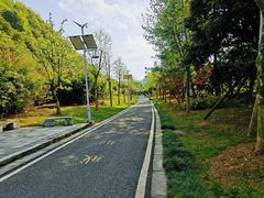 -贵阳市花溪国家城市湿地公园
