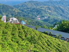 -长沙黑麋峰国家森林公园