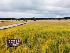 -塞罕坝国家级自然保护区