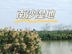 -大湾区中央湿地公园