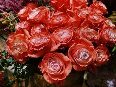 -BEAST野兽派(上海浦东嘉里城店)