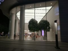 -Apple零售店(济南恒隆广场店)
