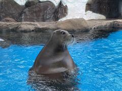 -海合安成都极地海洋公园