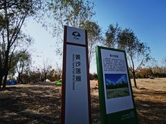 -东郊湿地公园