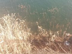 -仙海旅游度假区