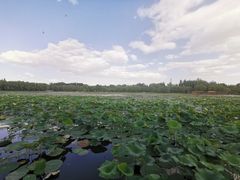 -廊坊市自然公园