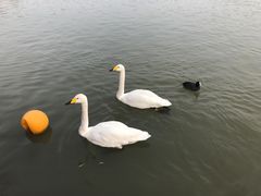 -上海野生动物园