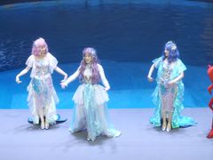 -烟台海昌鲸鲨海洋公园