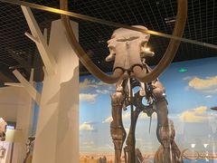 -国家自然博物馆