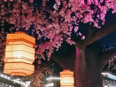 -荷塘秋月·本帮江浙菜(国权路店)