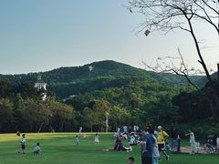 -大屏嶂森林公园