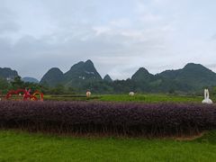 -靖西鹅泉风景区