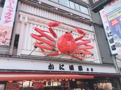 -蟹道乐(道顿堀本店)