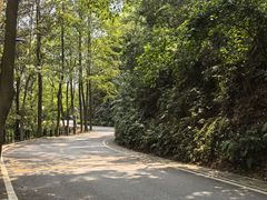 -广州市帽峰山景区