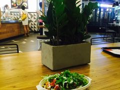 -油梨树 AVOCADO TREE(亮马桥店)