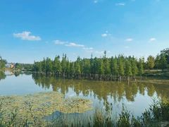 -白鹭湾湿地公园