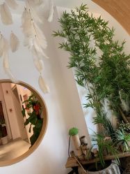 -静待花开瑜伽尊巴会馆