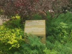 -北坞公园