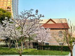 -JW酒廊 JW Lounge(上海鲁能JW万豪侯爵酒店)