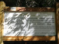 -永泰中国云顶