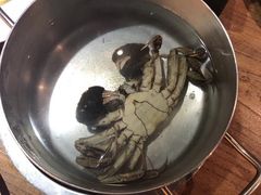 -甄品麦哲伦海鲜和牛自助(万达广场店)