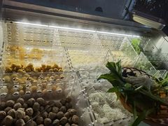 -庄子梦然·城市微度假·24h按摩·推拿·spa