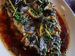 -生态苑农庄(十里画廊遇龙河店)