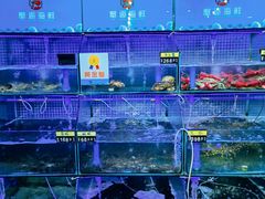 水产区-蟹老板的海鲜