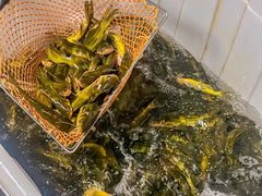 -大院河·仙鱼莊(九眼桥店)