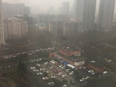 -南京钟山宾馆(江苏省会议中心)