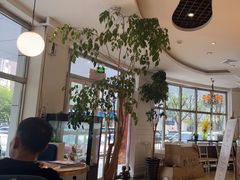 -花舍·新派粤菜·西餐·下午茶(亚运村·鸟巢店)