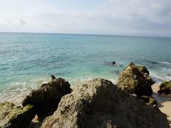 -Rock Bar Bali(Bali)