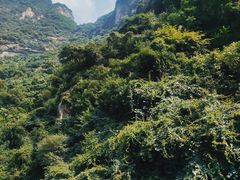 -少华山国家森林公园