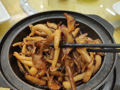 鲍汁杂菌煲-濠江渔港酒楼(湾仔海鲜街，会展中心店)