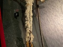 -烟台市博物馆