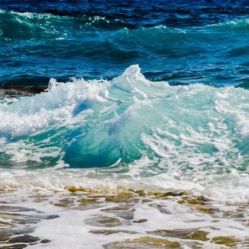 -薇兰专业脱毛连锁机构