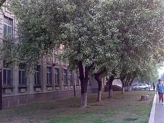 -辽宁大学(崇山校区)