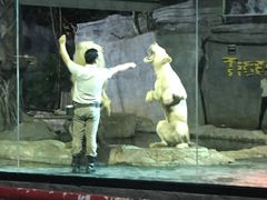 -清迈夜间动物园