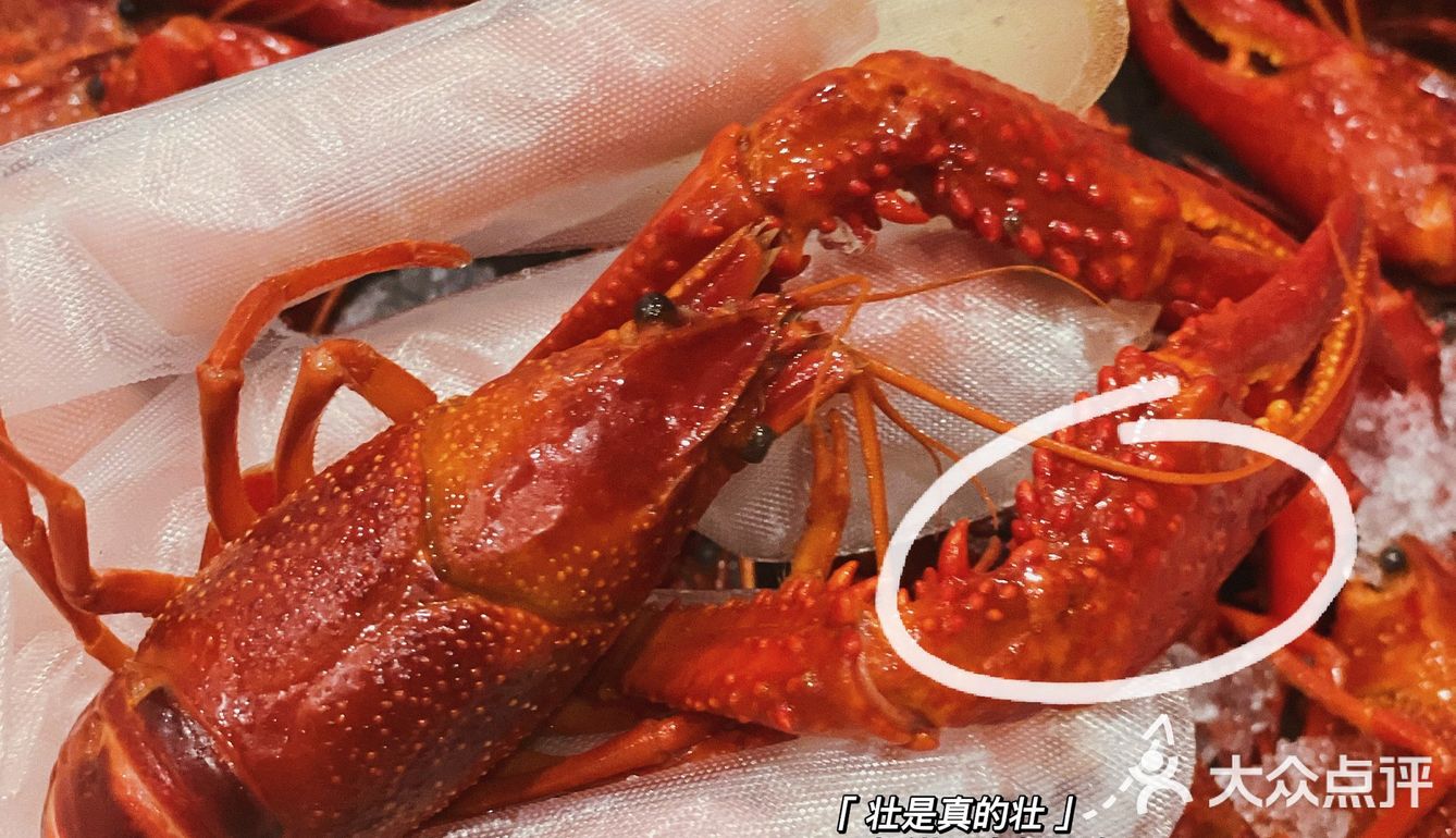 🌈台州探店｜邦派龙虾🦞