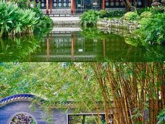 -顺峰山公园