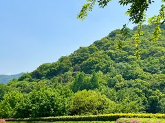 -湘湖逍遥庄园·水漾中餐厅