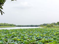 -梁子湖东篱老屋生态庄园