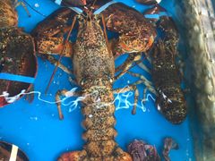 水产区-87号烧烤海鲜·大排档(金沙滩店)