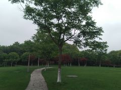 -尚贤河湿地