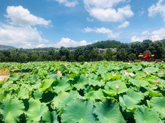 -古田会议纪念馆