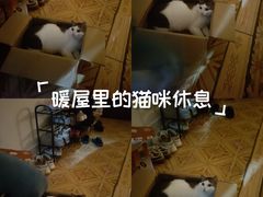 -深圳野生动物园