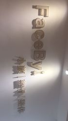 -FACE·日本小颜矫正美容整骨サロン