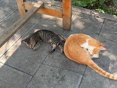 -敬亭山风景名胜区